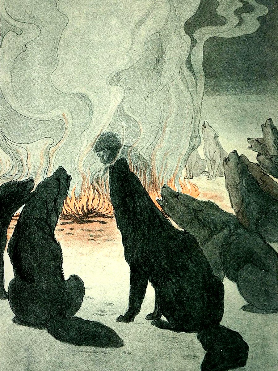 Cover of White Fang