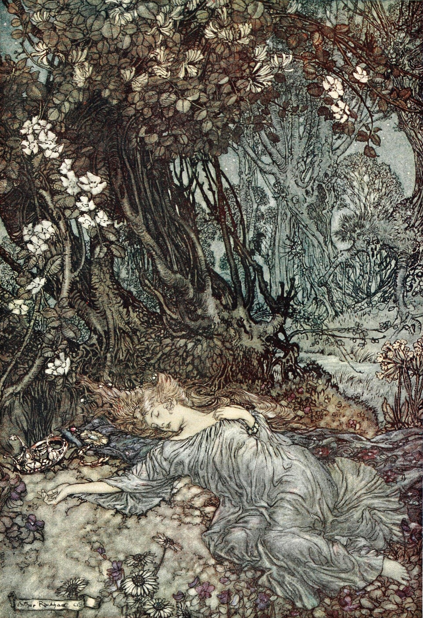 Cover of A Midsummer Night's Dream