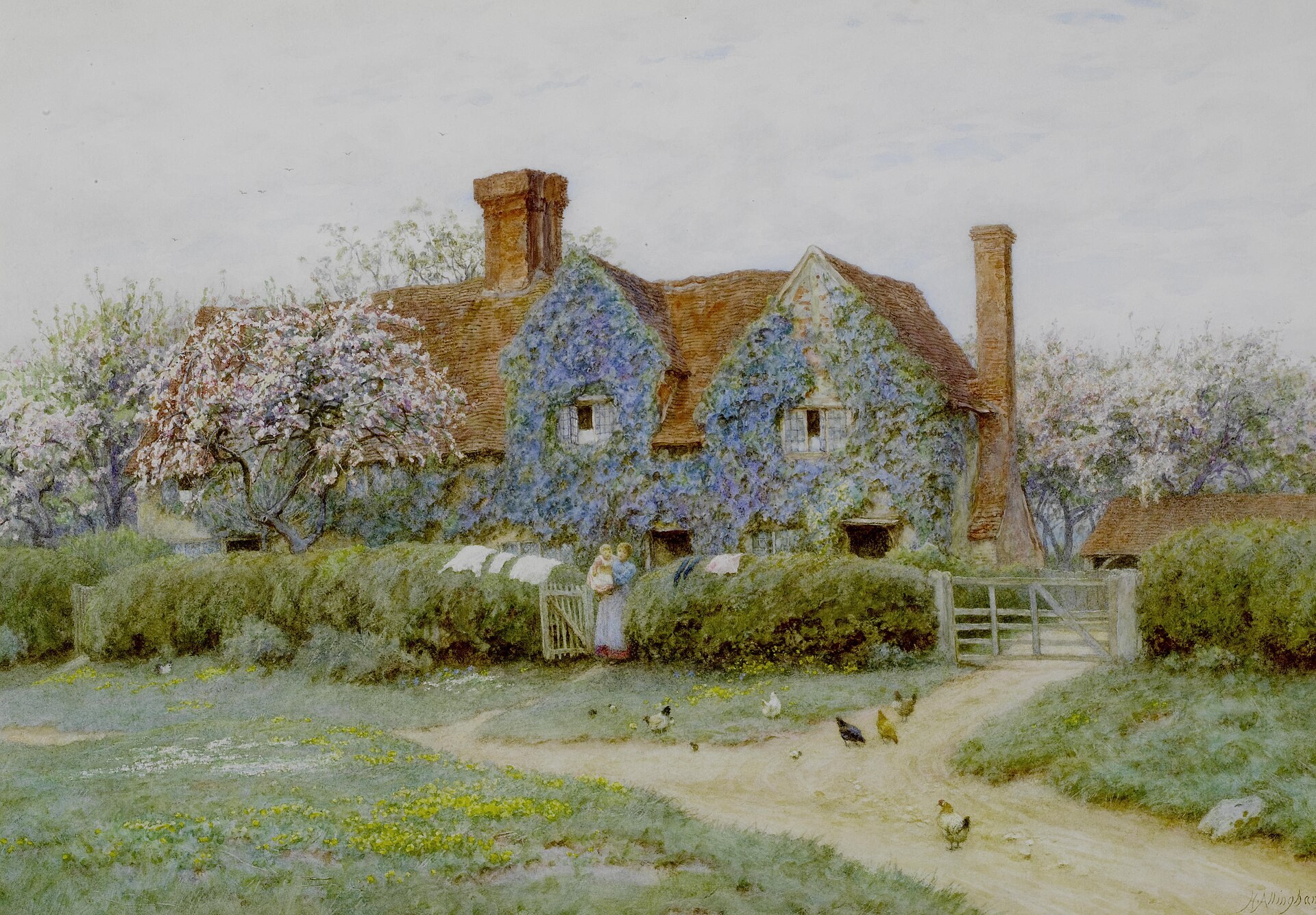 Cover of Cranford