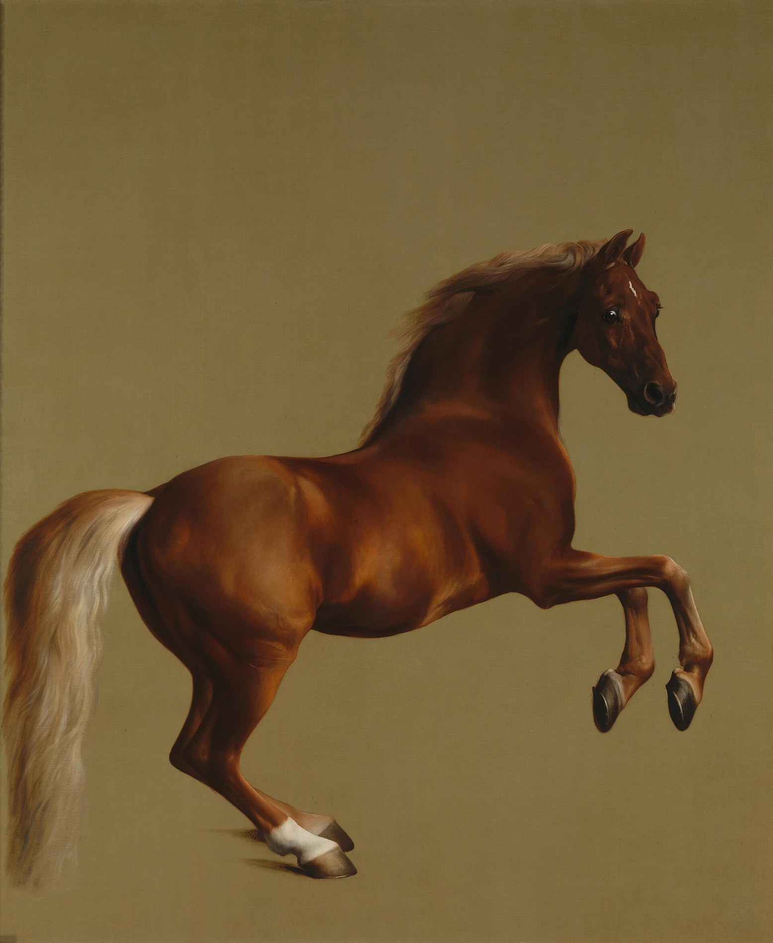 Cover of Black Beauty: The autobiography of a horse