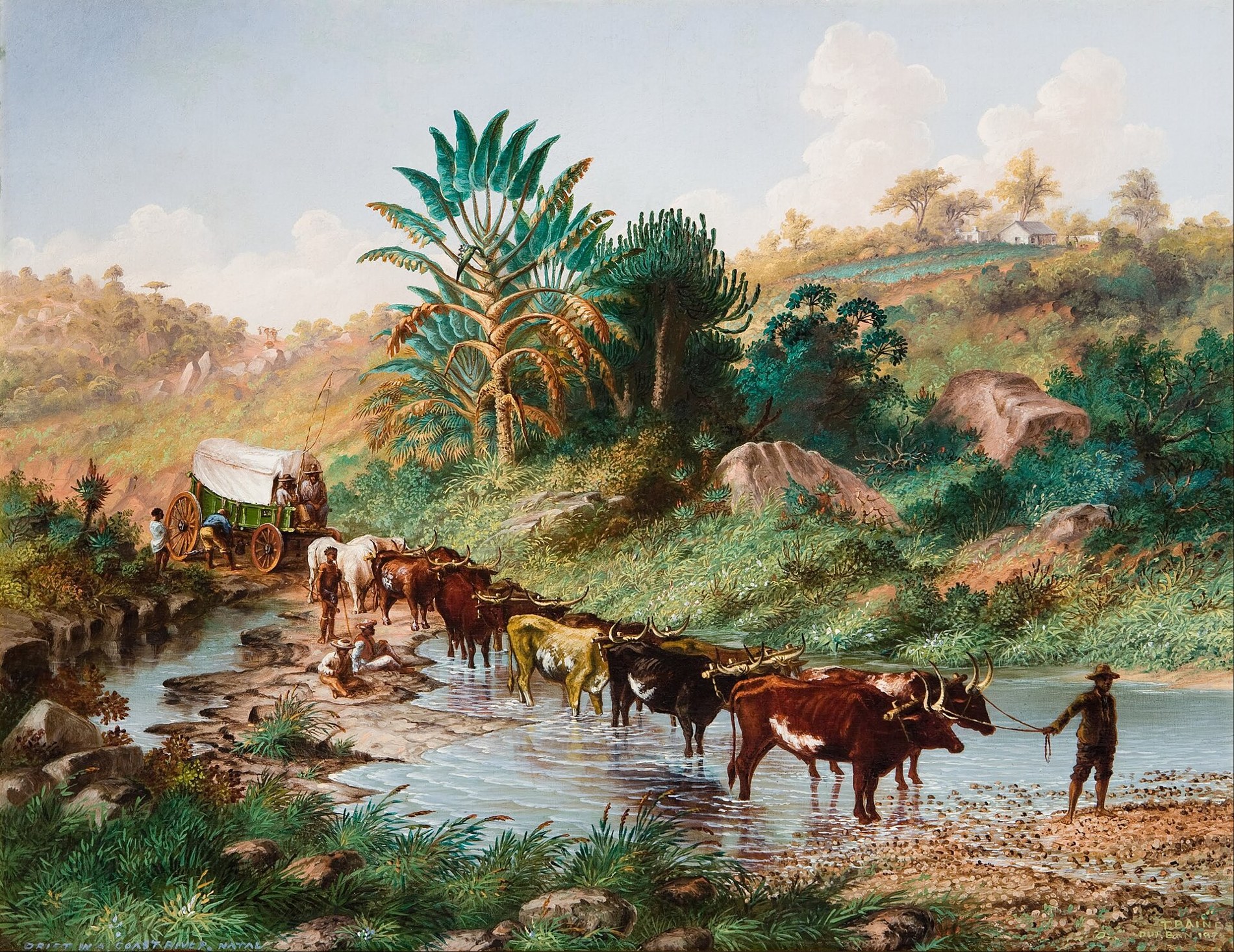 Cover of King Solomon's Mines