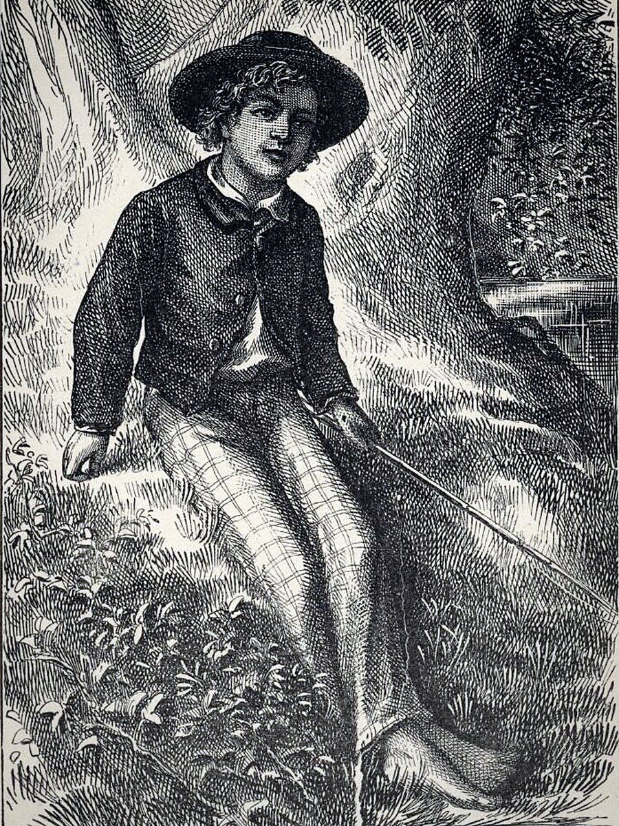 Cover of The Adventures of Tom Sawyer