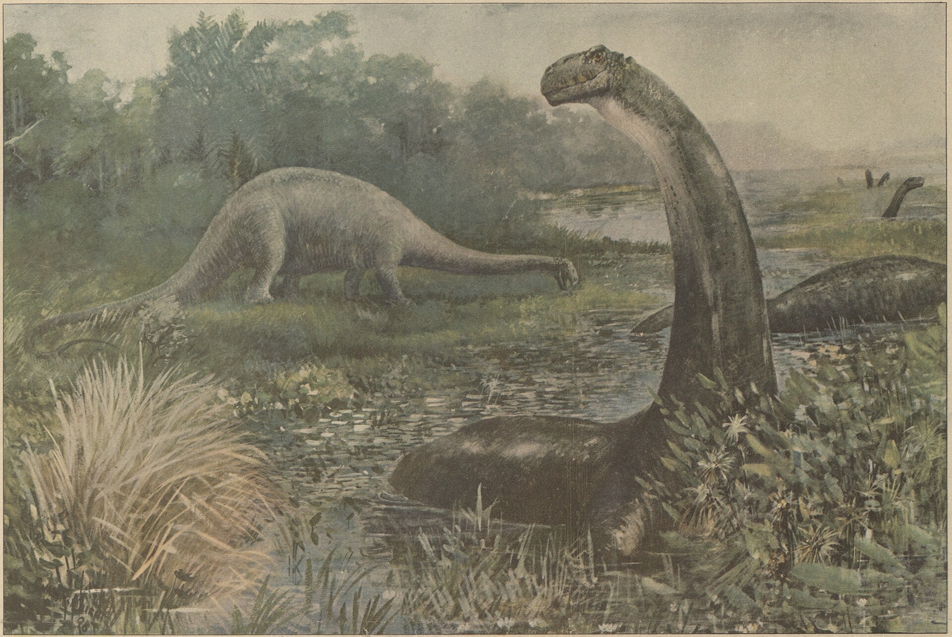 Cover of The Land That Time Forgot