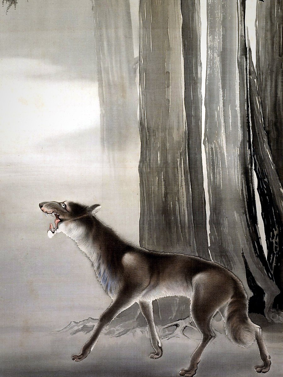 Cover of The Call of the Wild
