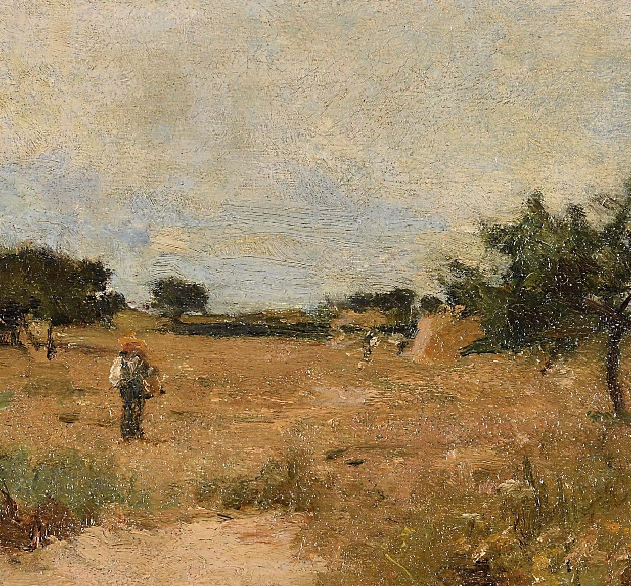 Cover of A Brasileira de Prazins