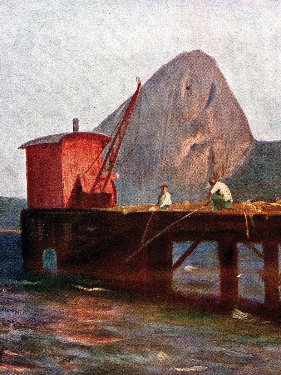 Cover of Vida e Morte de M. J. Gonzaga de Sá