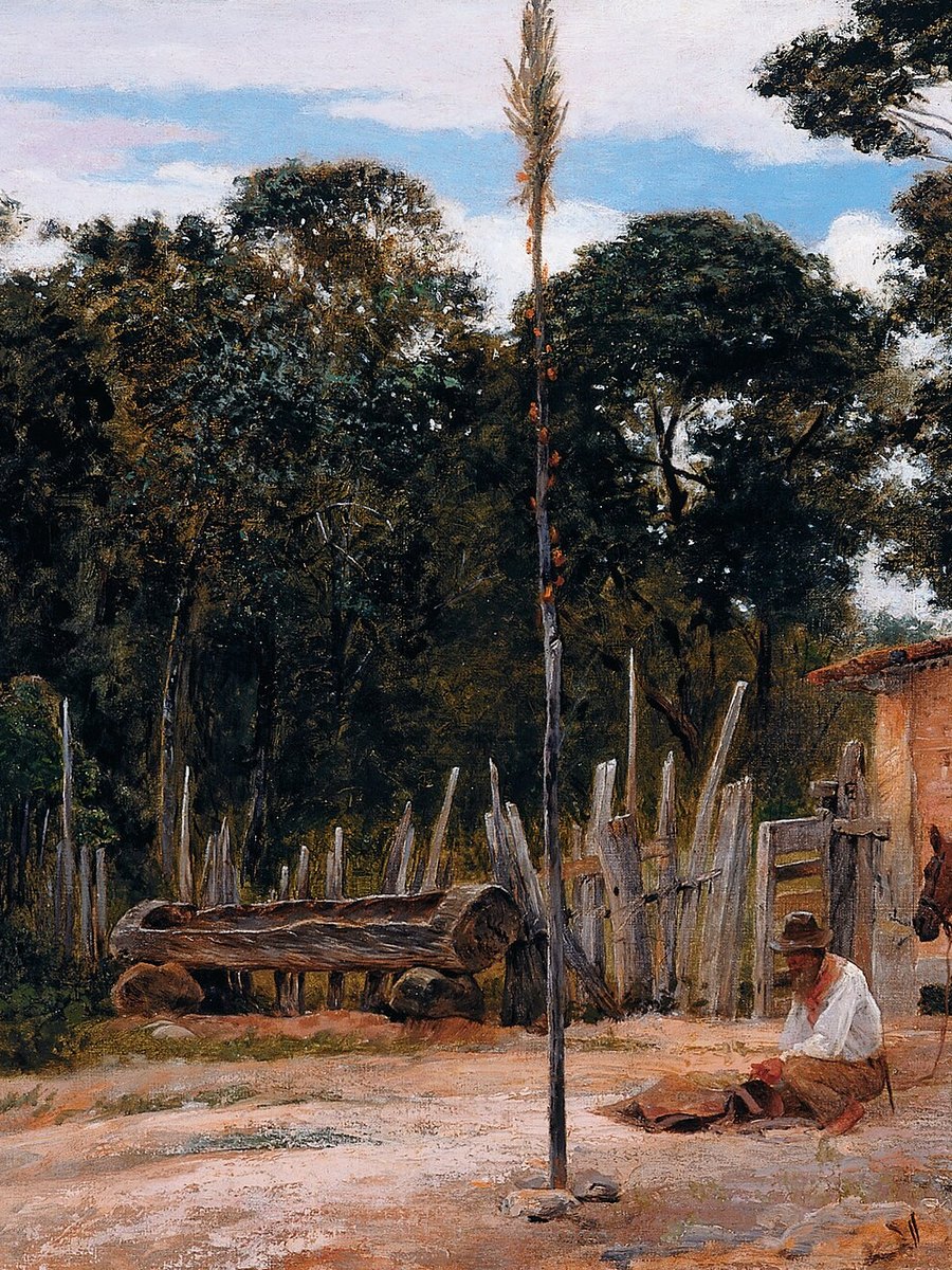 Cover of Histórias Brasileiras