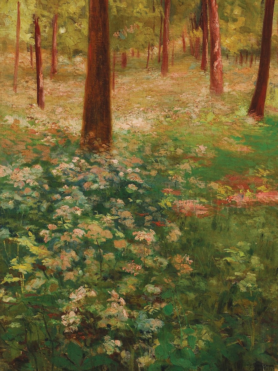 Cover of Historias Sem Data