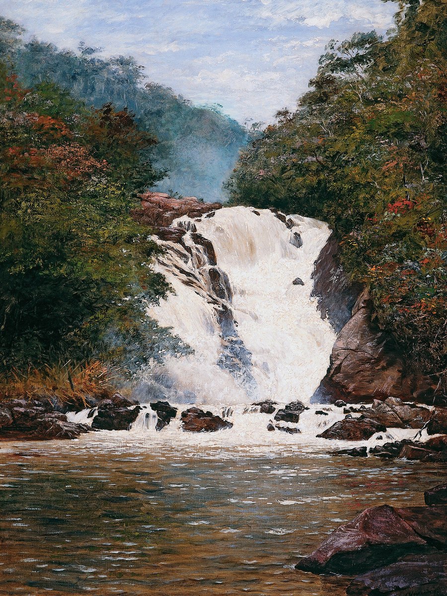 Cover of O Missionário